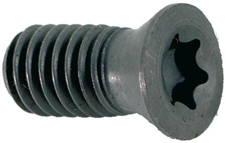 TORNILLO PARA PLAQUITA DE CORTE 06 FORMAT (10 UDS)