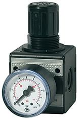 REGULADOR DE PRESION MULTIFIX CON MANOMETRO 0,5-10BAR RIEGLER