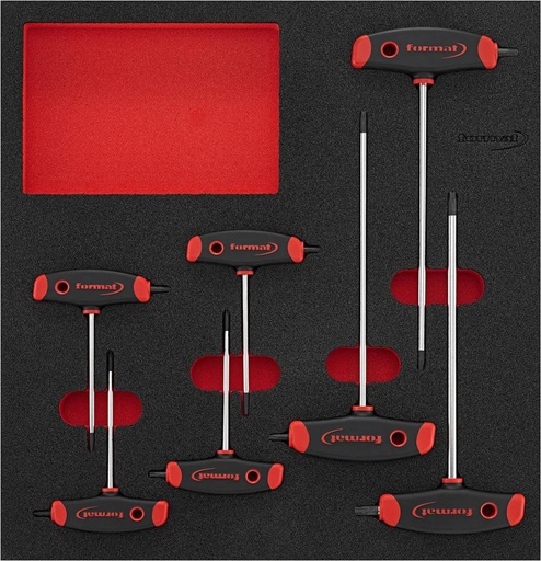 [7661750241] MÓDULO HERRAMIENTA 2/3 MANGO EN T TORX CON ARRASTRE LATERAL FORMAT