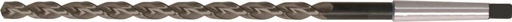 BROCA ESPIRAL EXTRALARGA DIN1870 HSS TIPO TF VASTAGO CM FORMAT