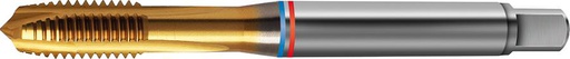 MACHO ROSCAR A MAQUINA TANDEM DIN371 HSS-PM TIN TIPO N 6H FORMA B FORMAT